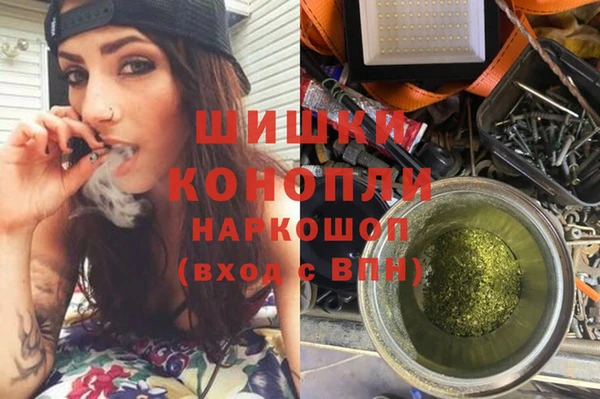 крисы Гусь-Хрустальный