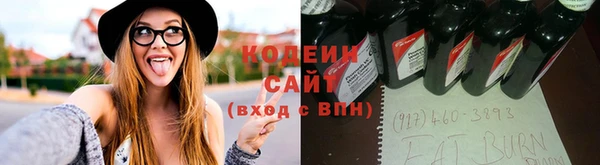 крисы Гусь-Хрустальный