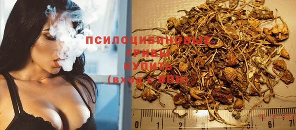 бошки Гусиноозёрск