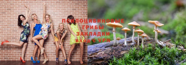 крисы Гусь-Хрустальный