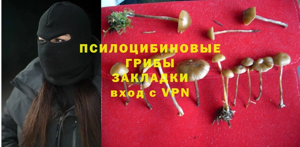спайс Гусев