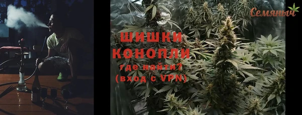 спайс Гусев